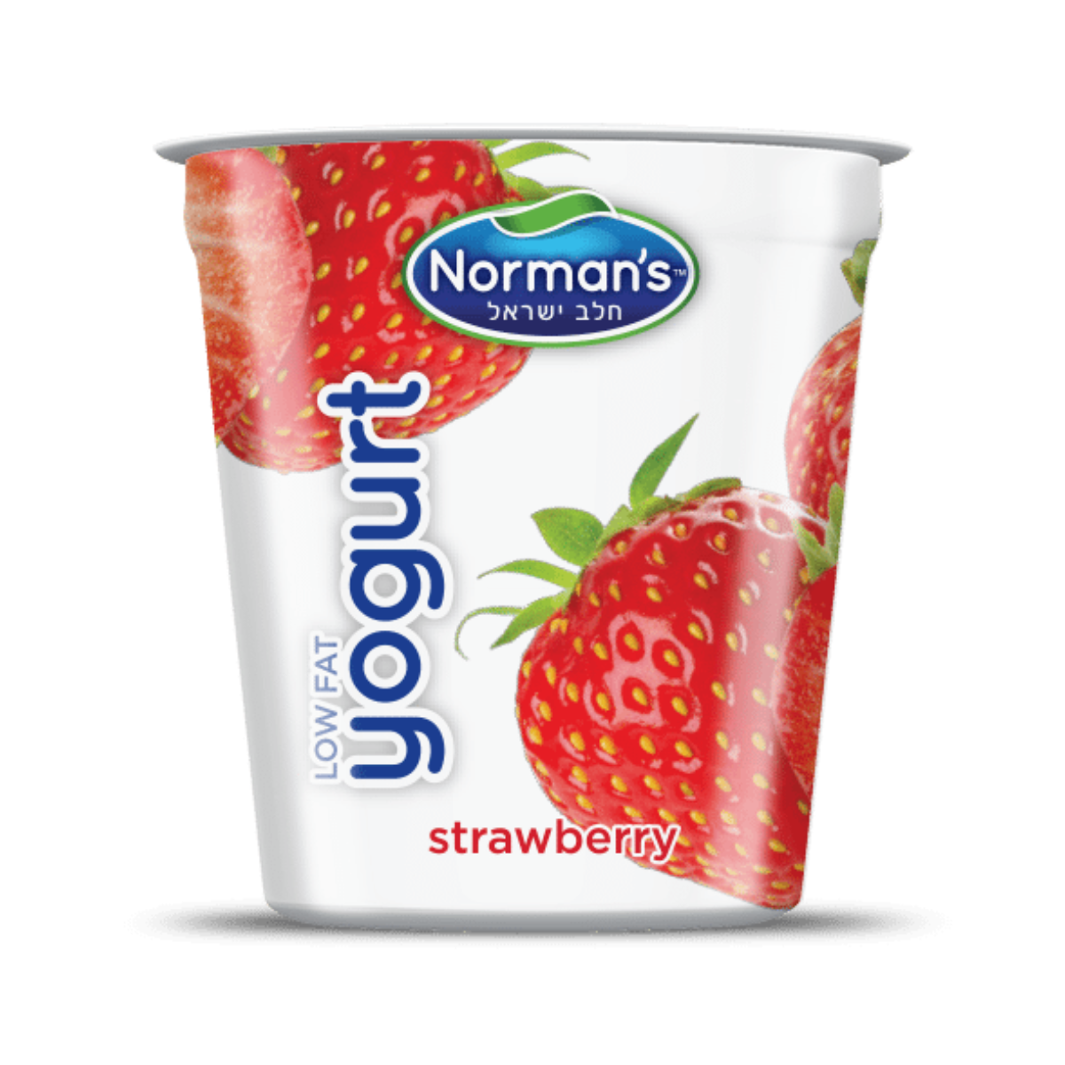 Shop Norman's Yogurt Strawberry Low Fat 5.3 oz Holon Kosher Foods