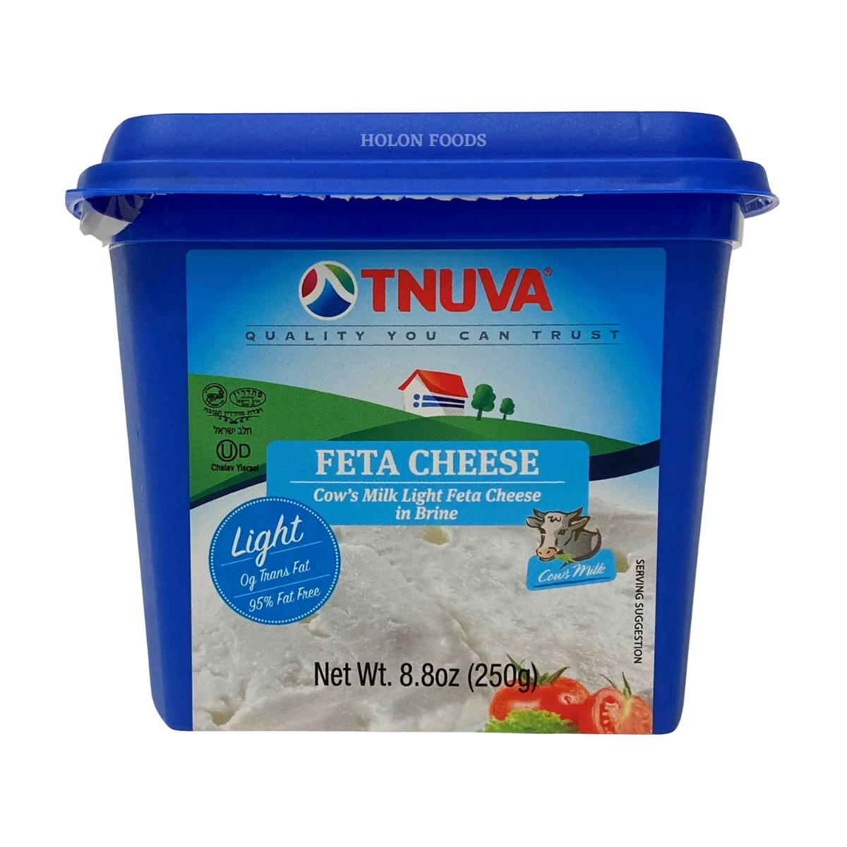 Buy Tnuva Deli Cow's Milk Feta Cheese Chunk 1 lb Holon Kosher Foods