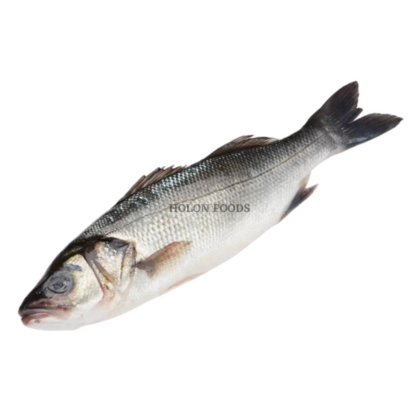 Holon Whole Branzino 1 lb