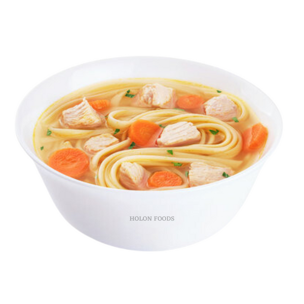 Holon Chicken Noodle Soup 16 oz