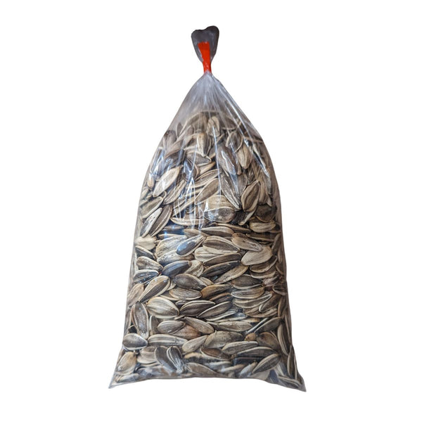 Holon Israeli Sunflower Seeds 12 oz (bag)