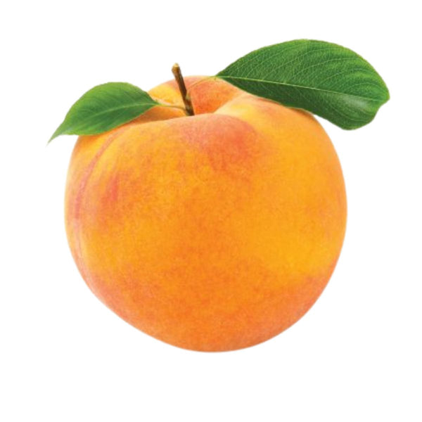 Apricot 1 ct