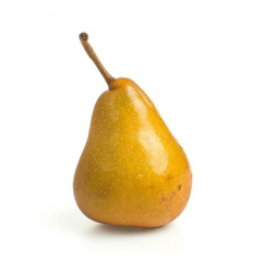 Bosc Pear 1 ct