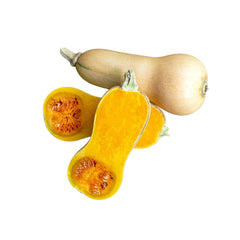 Butternut Squash