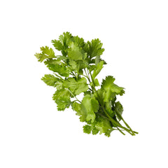 Fresh Cilantro