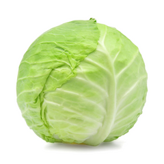 Green Cabbage