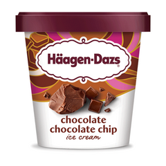 Haagen-Dazs Chocolate Chocolate Chip Ice Cream 14 oz