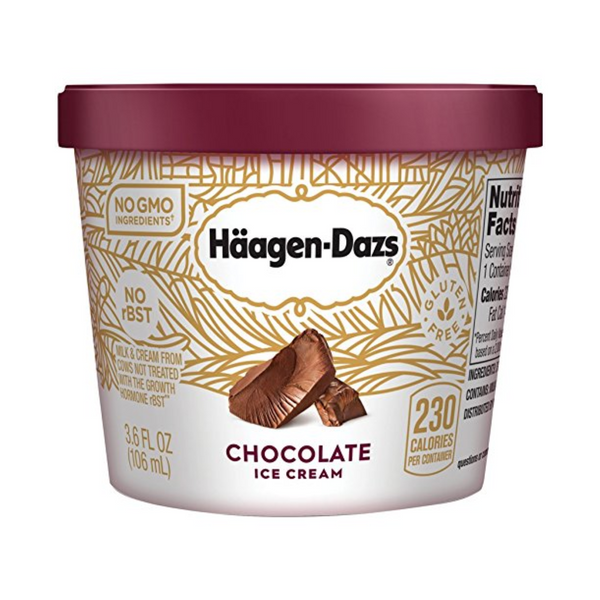 Haagen-Dazs Chocolate Ice Cream 3.6 oz