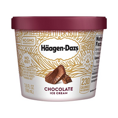 Haagen-Dazs Chocolate Ice Cream 3.6 oz