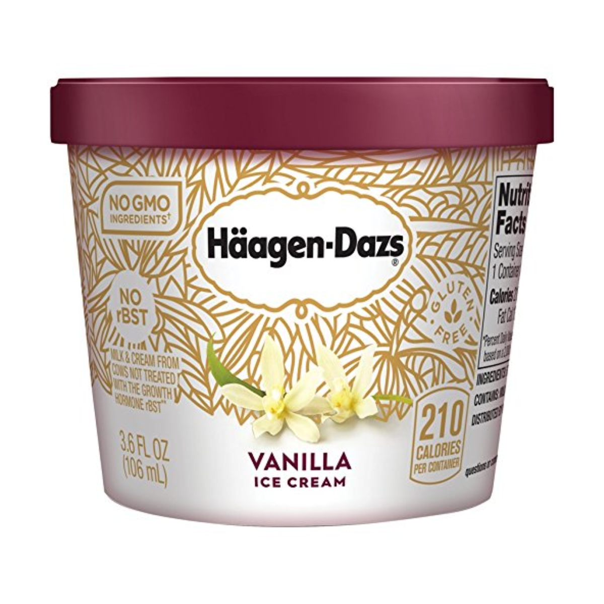 Shop HaagenDazs Vanilla Ice Cream 3.6 oz Holon Kosher Foods Online Kosher Grocery Marketplace