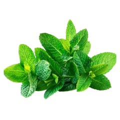 Israeli Fresh Mint Leaves