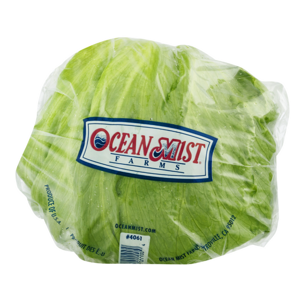 Ocean Mist Iceberg Lettuce 1 ct