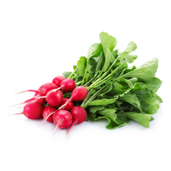 Radish Bunch
