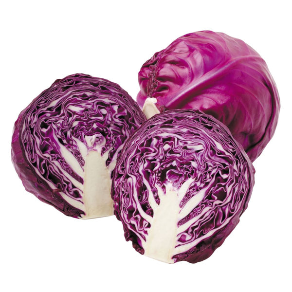 Red Cabbage