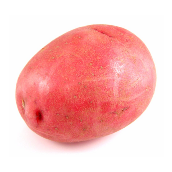 Red Small Potato 1 ct