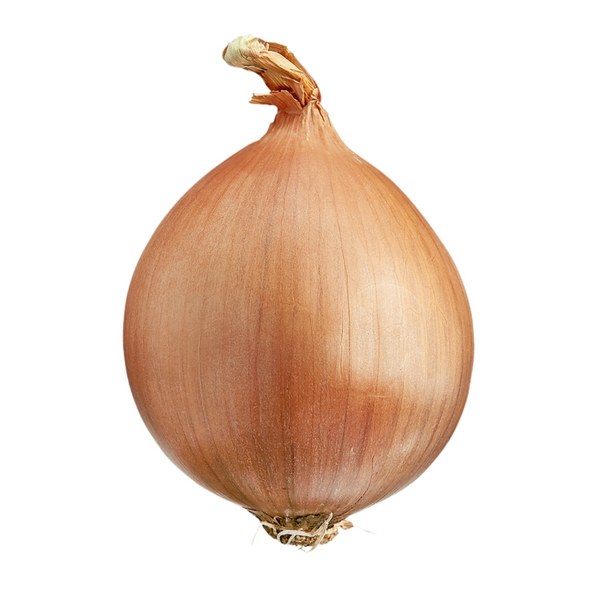 Spanish Onion 1 ct