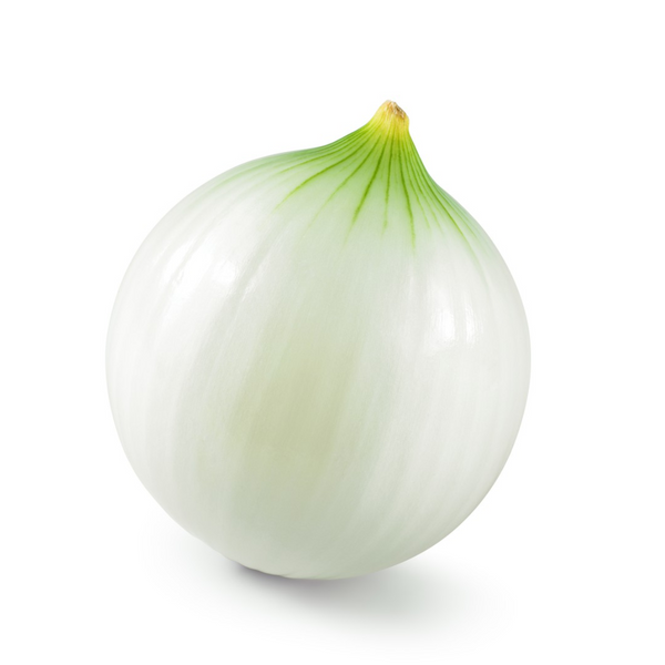 White Onion 1 ct